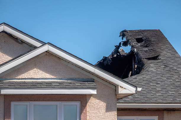 Top rated local Board Up Services specialists in Hugo, MN
